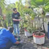 Dinkominfo Kota Pekalongan Gelar Kerja Bakti dan Pilah Sampah