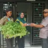 Pekarangan Jadi Solusi Pangan, Dinperpa & Tani Merdeka Sinergi Salurkan Ratusan Bibit Sayuran!