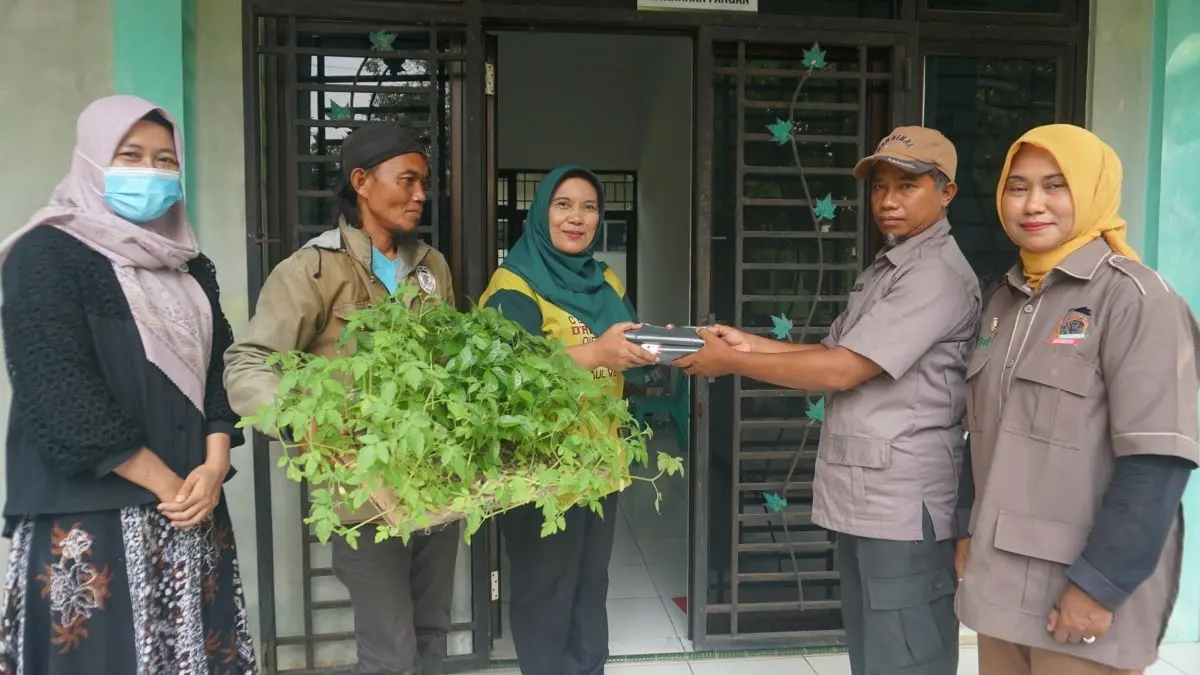 Pekarangan Jadi Solusi Pangan, Dinperpa & Tani Merdeka Sinergi Salurkan Ratusan Bibit Sayuran!