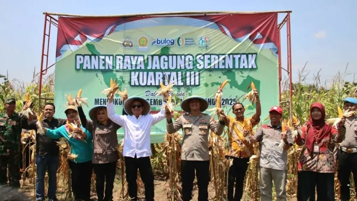 Polres Pekalongan Kota Panen Jagung 10 Ton, Bukti Dukungan Asta Cita Swasembada Pangan!