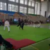 95 Pesilat 4 Daerah Ramaikan Kompetisi Mini Pencak Silat, Jadi Pemanasan Jelang BK Porprov!
