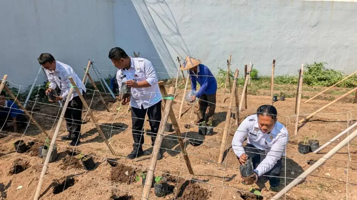 Dukung Ketahanan Pangan, Rutan Pekalongan Tanam Bibit Melon Madu di Lahan Brandgang!