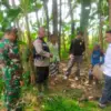 Konflik Kerbau 2 Desa di Pekalongan Berakhir Damai, Bhabinkamtibmas Fasilitasi Ganti Rugi!