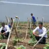 Melon Madu Jadi Media Pembinaan WBP, Rutan Pekalongan Dukung Program Ketahanan Pangan!
