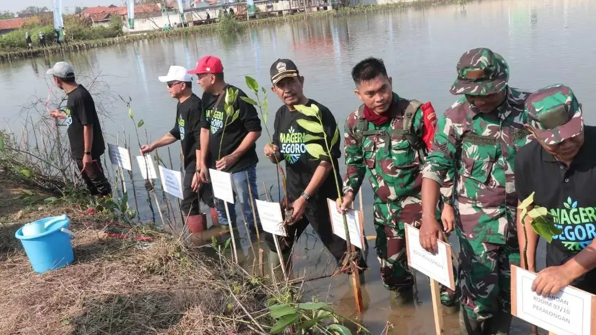 Pemkot Pekalongan Tanam Ribuan Mangrove “Mageri Segoro”, Resmikan Rumah Bibit Degayu!
