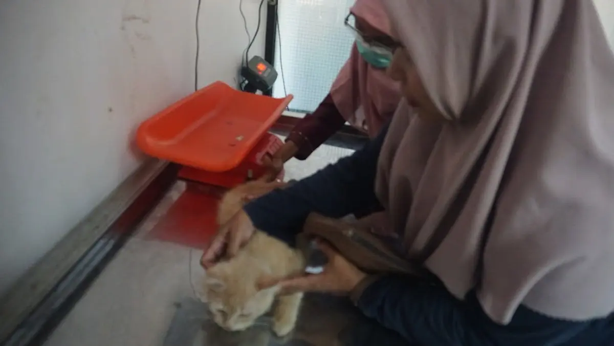 Peringati Hari Rabies Sedunia, Dinperpa Pekalongan Gelar Vaksinasi Gratis untuk Ratusan Hewan Piaraan!