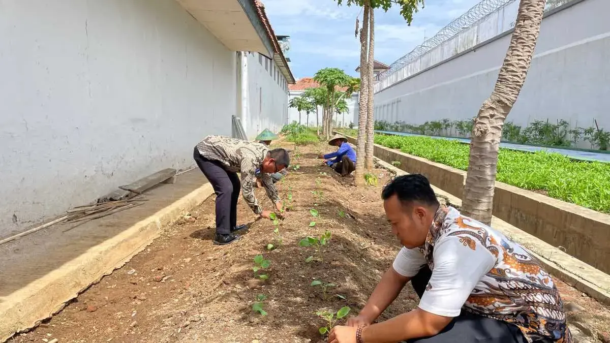 Perkuat Ketahanan Pangan, Rutan Kelas IIA Pekalongan Tanam 100 Bibit Terong Ungu di Lahan Brandgang Perkuat Ketahanan Pangan, Rutan Kelas IIA Pekalongan Tanam 100 Bibit Terong Ungu di Lahan Brandgang