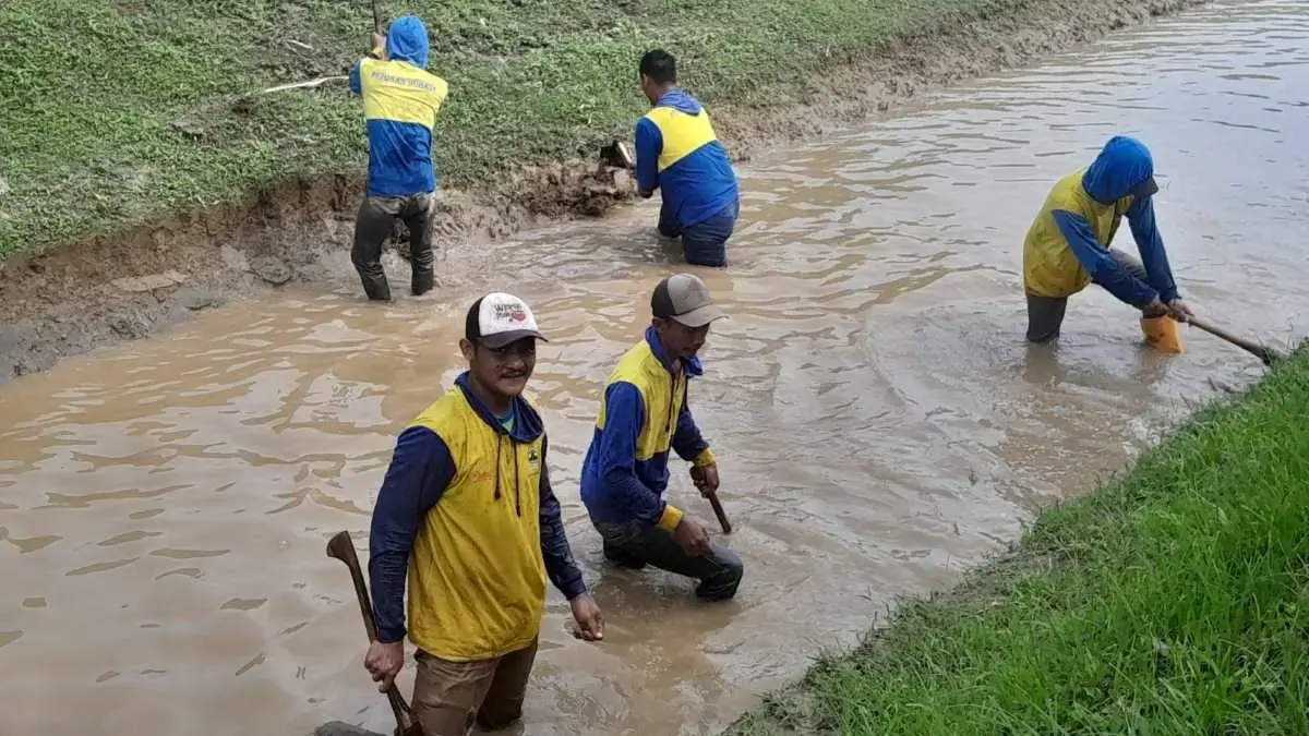 Cegah Banjir, UPTD Pengairan Ringinarum Kendal Bersihkan Lening Sungai dari Lumpur dan Sampah Cegah Banjir, UPTD Pengairan Ringinarum Kendal Bersihkan Lening Sungai dari Lumpur dan Sampah