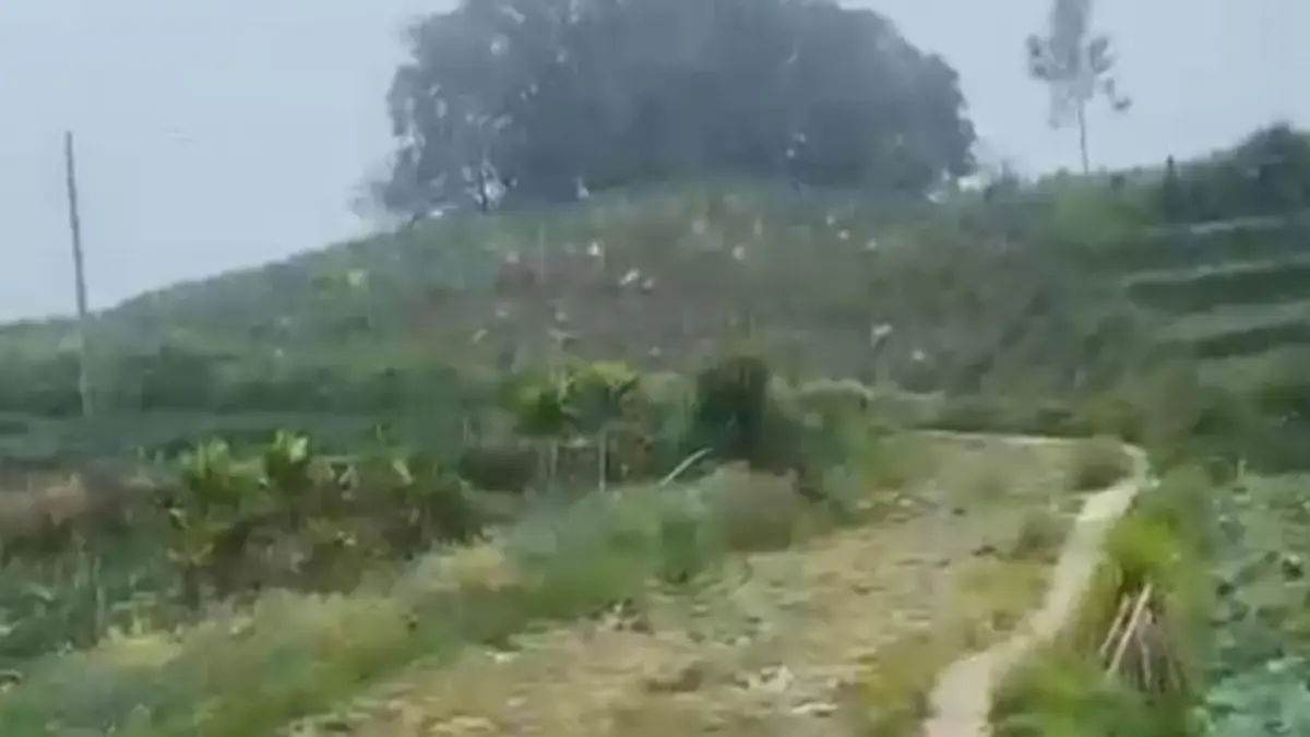 Jalan Utama Simego-Gumelem Rusak Parah, Warga Desak Pemkab Pekalongan Segera Lakukan Perbaikan Jalan Utama Simego-Gumelem Rusak Parah, Warga Desak Pemkab Pekalongan Segera Lakukan Perbaikan