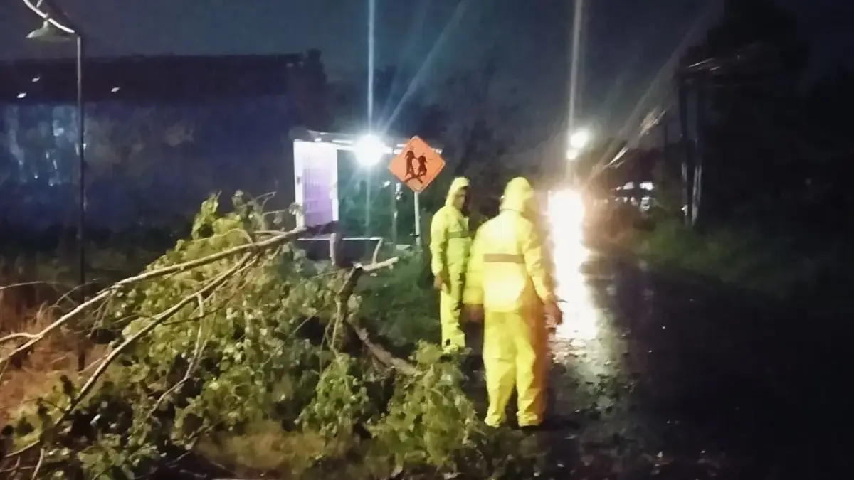Pohon Tumbang Tutup Jalan Karangdadap-Doro Pekalongan, Sinergi Polisi dan Warga Sukses Atasi Macet
