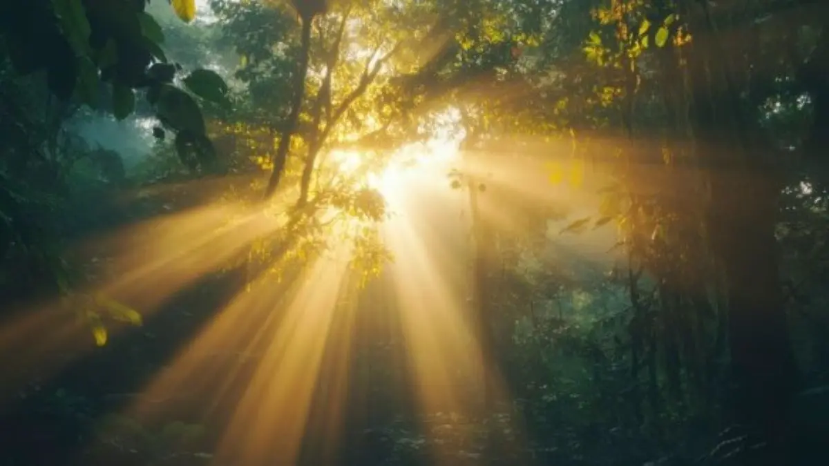 kalender jawa tanggal 24 november 2025