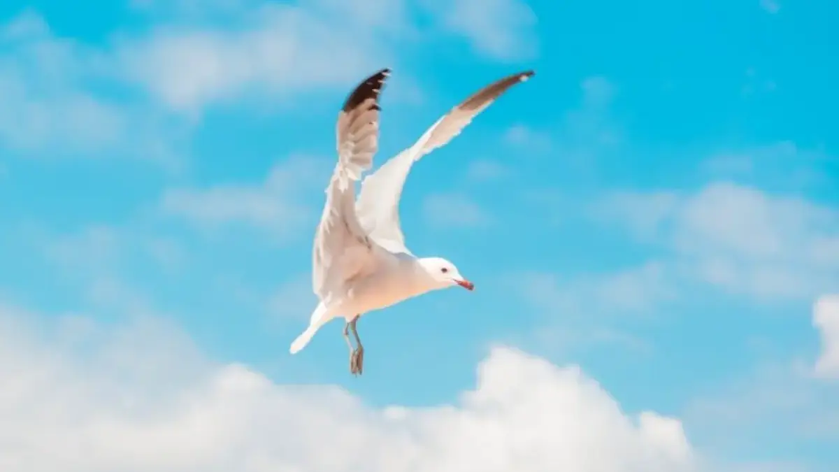 Ramalan Zodiak Jumat 28 November 2025