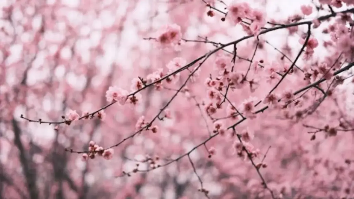 Ramalan Zodiak Sabtu 29 November 2025