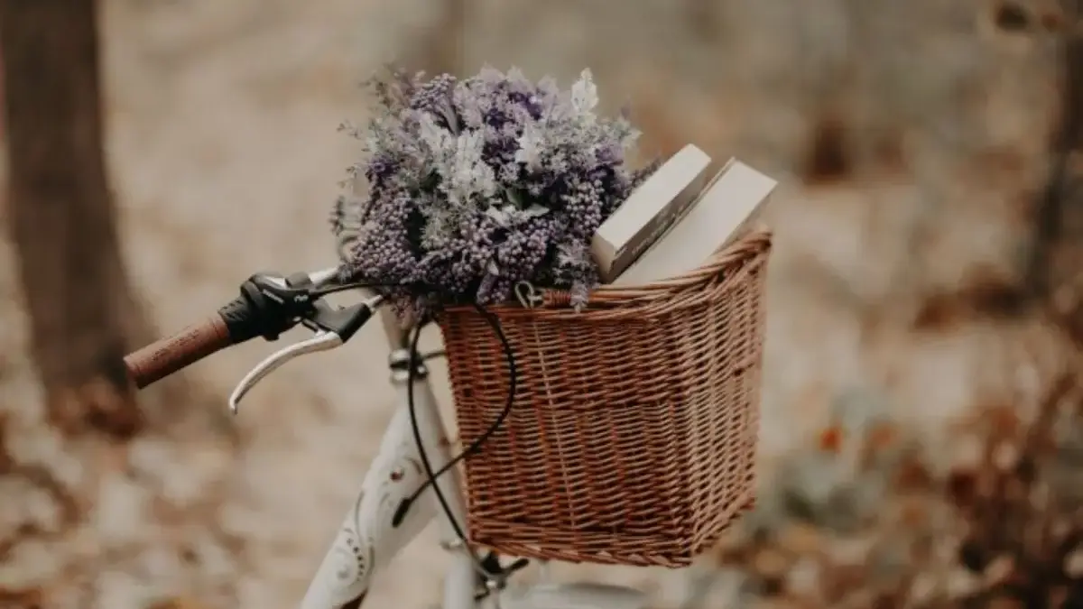 Ramalan Zodiak Selasa 25 November 2025