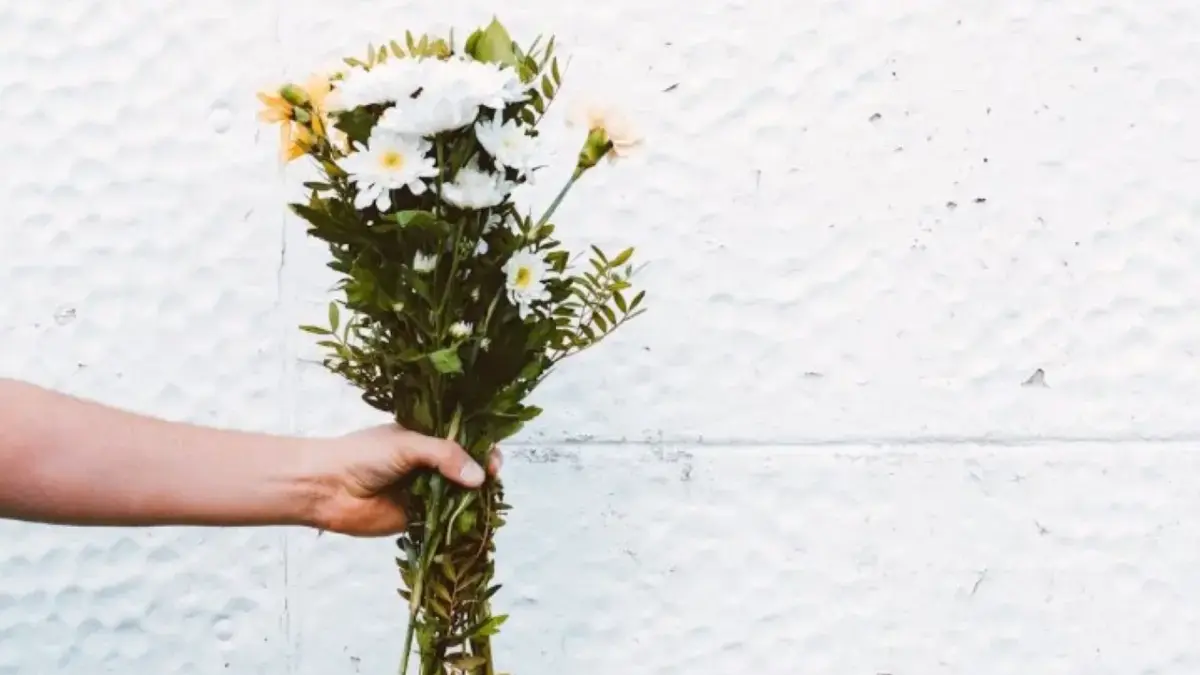 Jangan Tergesa-Gesa! Ramalan Zodiak Besok 24 November 2025 untuk Aries, Taurus, Gemini, dan Cancer Ramalan Zodiak Besok 24 November 2025