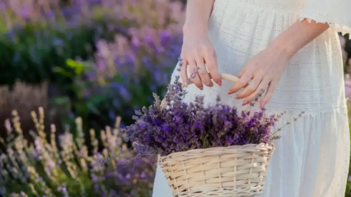 Ramalan Zodiak Besok 25 November 2025