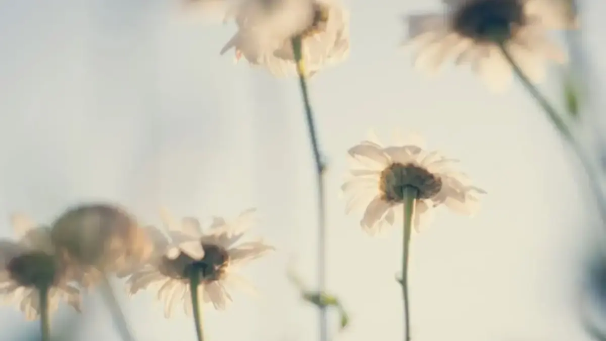 ramalan Zodiak Besok 29 November 2025