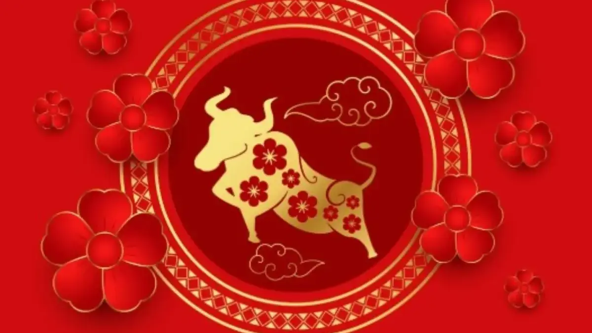 Shio yang Banjir Hoki Besok 14 November 2025