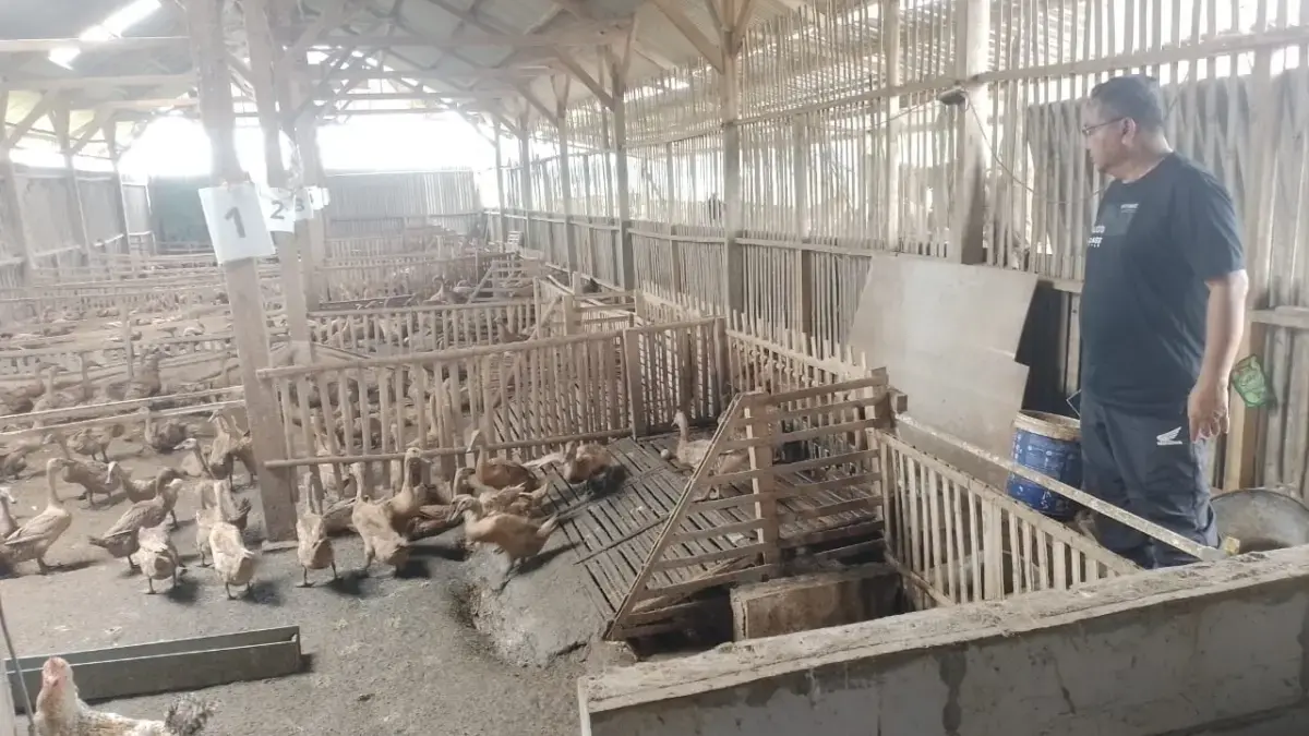 Di Tengah Kesibukan sebagai Notaris & PPAT serta Pimpinan PT Ruslam, DR Riyanto Tetap Tekuni Hobi Beternak DR Riyanto Tetap Tekuni Hobi Beternak