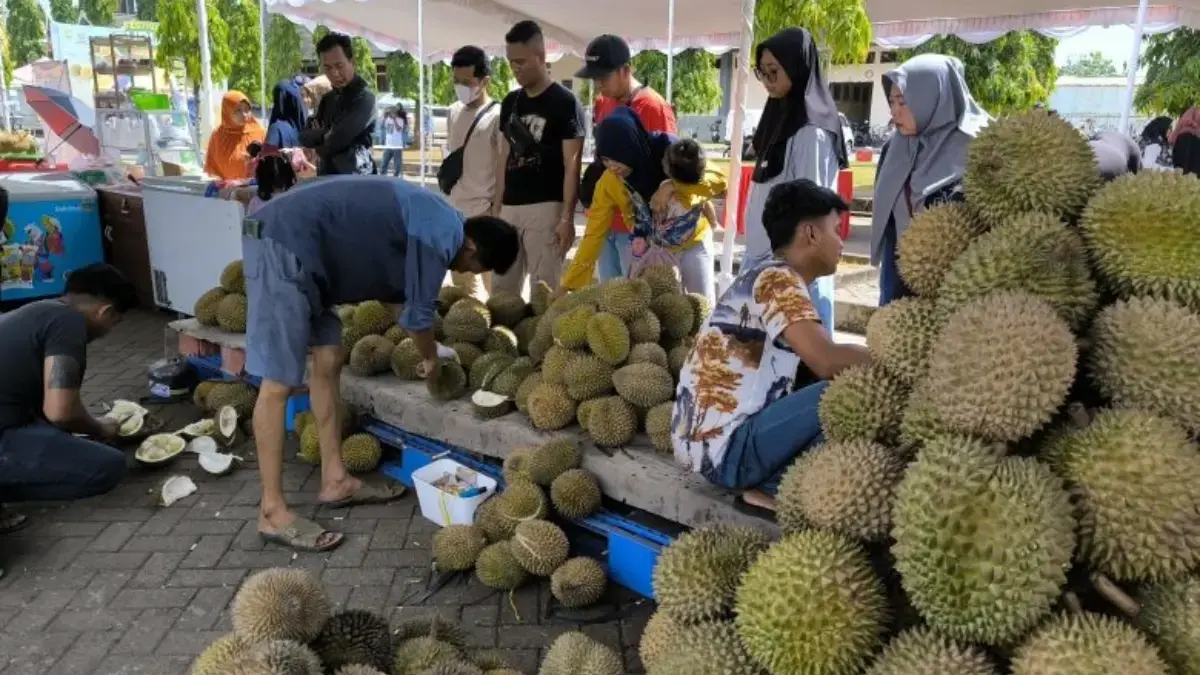 3.000 Durian Lokal Meriahkan Festival Durian Kendal Berdikari 2025, Dorong Ekonomi Petani 3.000 Durian Lokal Meriahkan Festival Durian Kendal Berdikari 2025, Dorong Ekonomi Petani