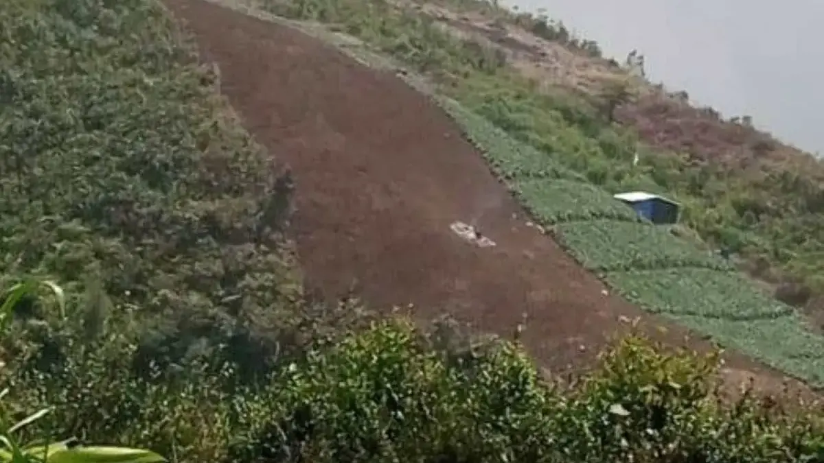 Cegah Perambahan Hutan Pegunungan, Pemkab Pekalongan Perkuat Regulasi Tata Ruang dan Perda Lindung