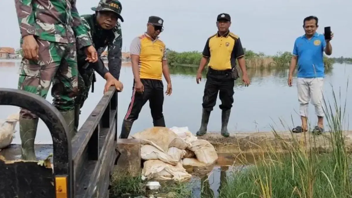 Dua Bulan Tergenang Rob, Warga Bandengan Kompak Kerja Bakti Pasang Ratusan Sandbag