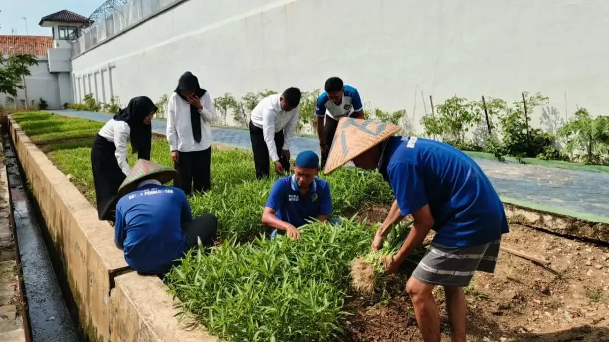 Dukung Ketahanan Pangan, Rutan Pekalongan Panen 26 Kg Kangkung Bersama Peserta MagangHub Dukung Ketahanan Pangan, Rutan Pekalongan Panen 26 Kg Kangkung Bersama Peserta MagangHub