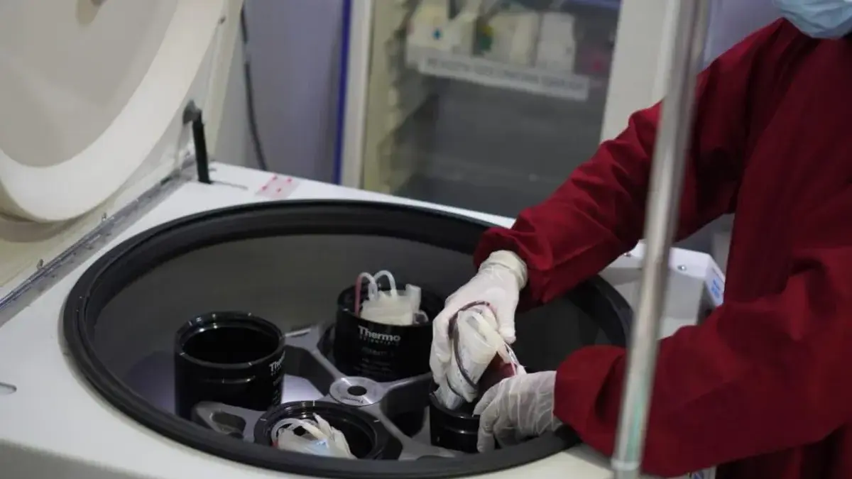 Kasus DBD Meningkat, Permintaan Trombosit di PMI Pekalongan Melonjak Tajam Akhir Tahun 2025 Kasus DBD Meningkat, Permintaan Trombosit di PMI Pekalongan Melonjak Tajam Akhir Tahun 2025