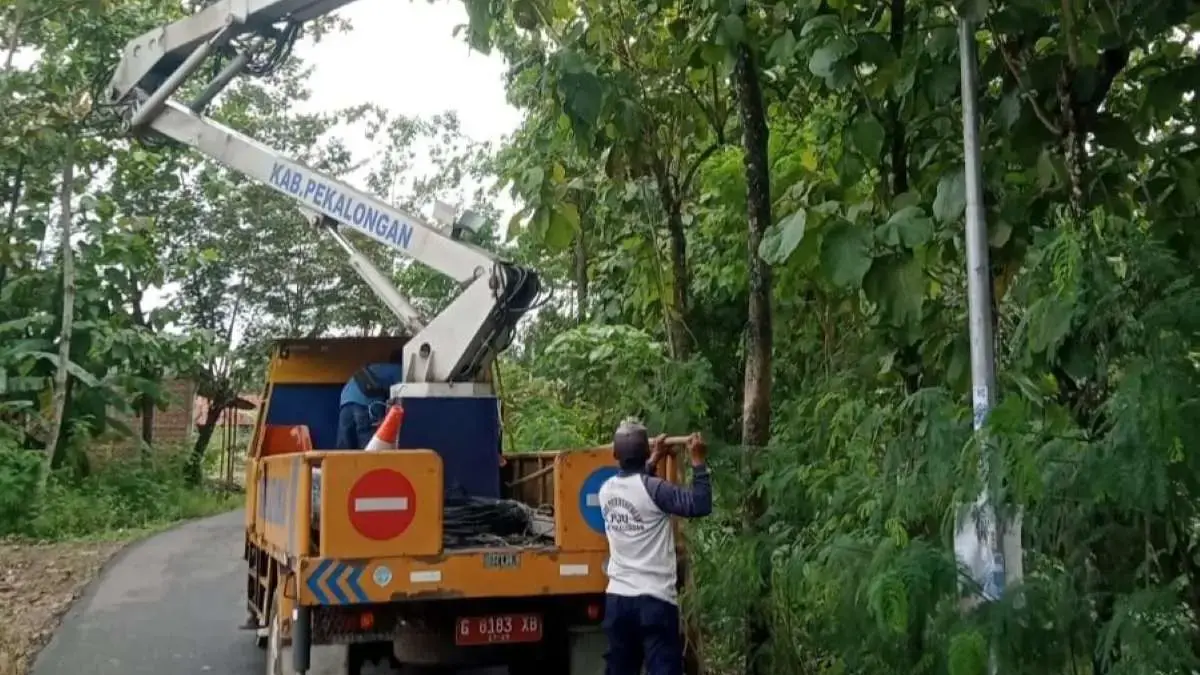 Optimalkan PJU Malam Hari, Dishub Pekalongan Intensifkan Perambasan Ranting Pohon di Ruas Jalan Optimalkan PJU Malam Hari, Dishub Pekalongan Intensifkan Perambasan Ranting Pohon di Ruas Jalan