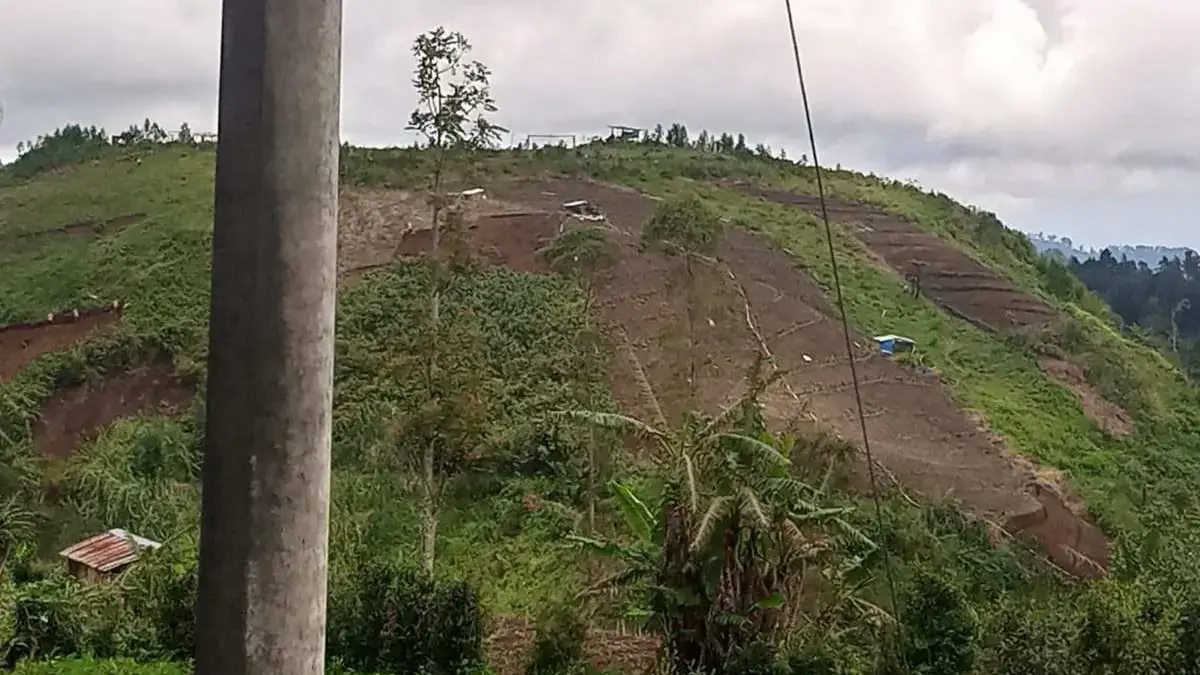 Polres Pekalongan Selidiki Alih Fungsi Lahan Hutan Petungkriyono, 60 KK Diduga Garap Petak 43B Polres Pekalongan Selidiki Alih Fungsi Lahan Hutan Petungkriyono, 60 KK Diduga Garap Petak 43B