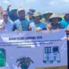 Sawah Degayu Terdampak Rob Sukses Panen 10 Kwintal Berkat Inovasi BJA dan Asam Humat IPB