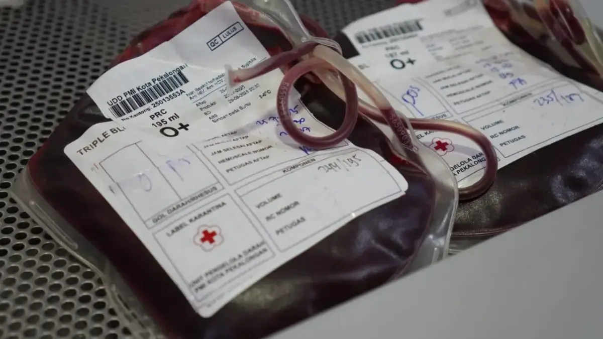 Stok Darah Tak Seimbang, PMI Pekalongan Batasi Donor Mobile Cegah Overstock Golongan B dan O Stok Darah Tak Seimbang, PMI Pekalongan Batasi Donor Mobile Cegah Overstock Golongan B dan O