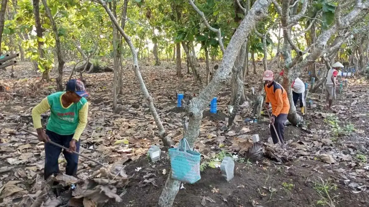 Tradisi Unik KPK Margorejo Kendal, Bersihkan Makam dan Cuci Keranda Jelang Jumat Kliwon Demi Kenyamanan Peziar Tradisi Unik KPK Margorejo Kendal: Bersihkan Makam dan Cuci Keranda Jelang Jumat Kliwon Demi Kenyamanan Peziar
