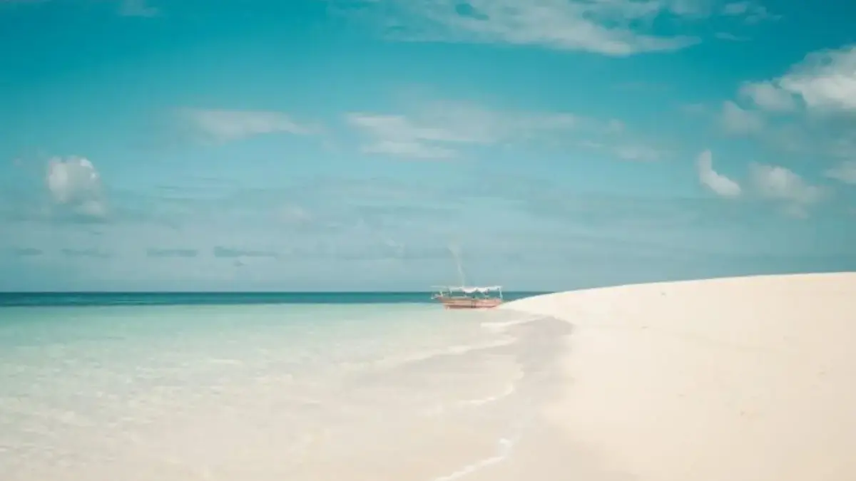 Ada Kejutan! Berikut Ramalan Shio Minggu 7 Desember 2025 untuk Monyet, Ayam, Anjing, dan Babi Besok Ramalan Shio Minggu 7 Desember 2025