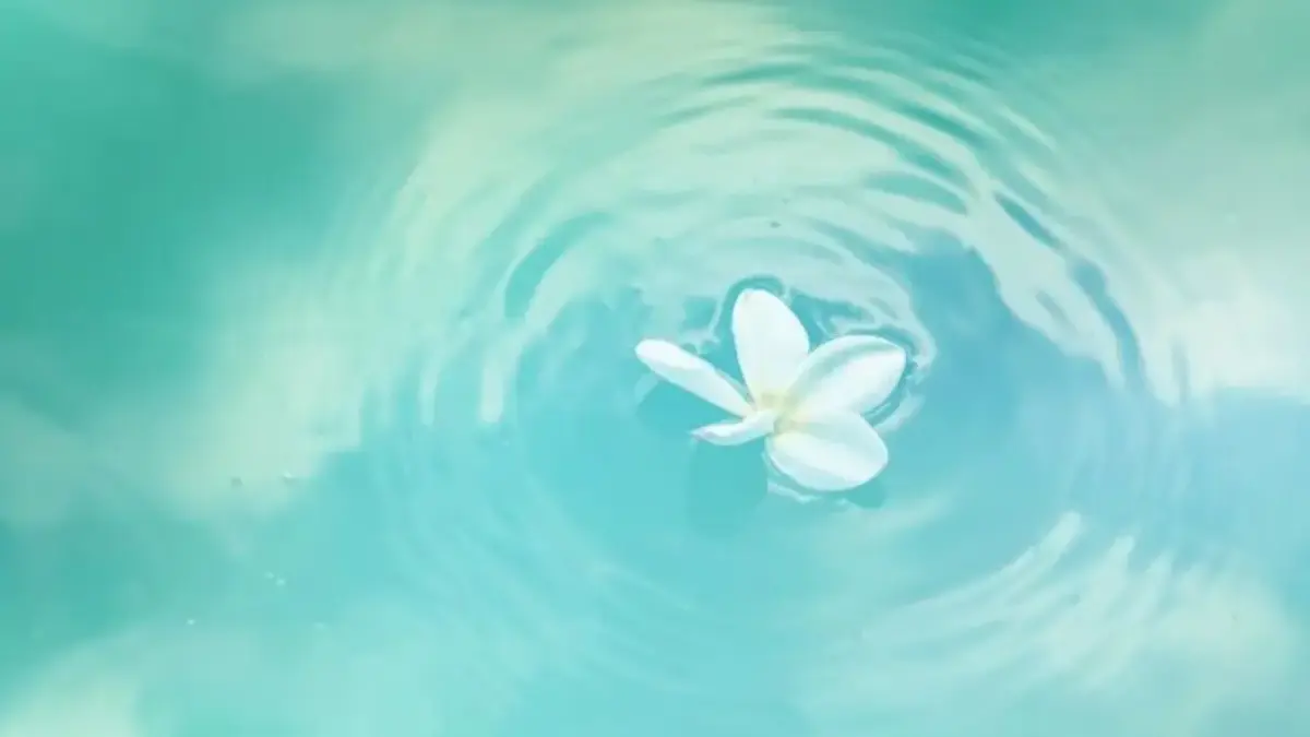 Jangan Patah Semangat! Ramalan Shio Besok 10 Desember 2025 untuk Monyet, Ayam, Anjing, dan Babi Ramalan Shio Besok 10 Desember 2025