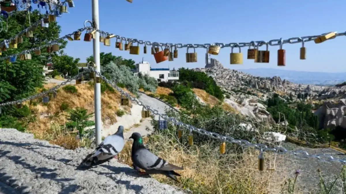 Cinta Sejati Mendekat? Ramalan Shio Besok 12 Desember 2025 untuk Monyet, Ayam, Anjing, dan Babi Ramalan Shio Besok 12 Desember 2025