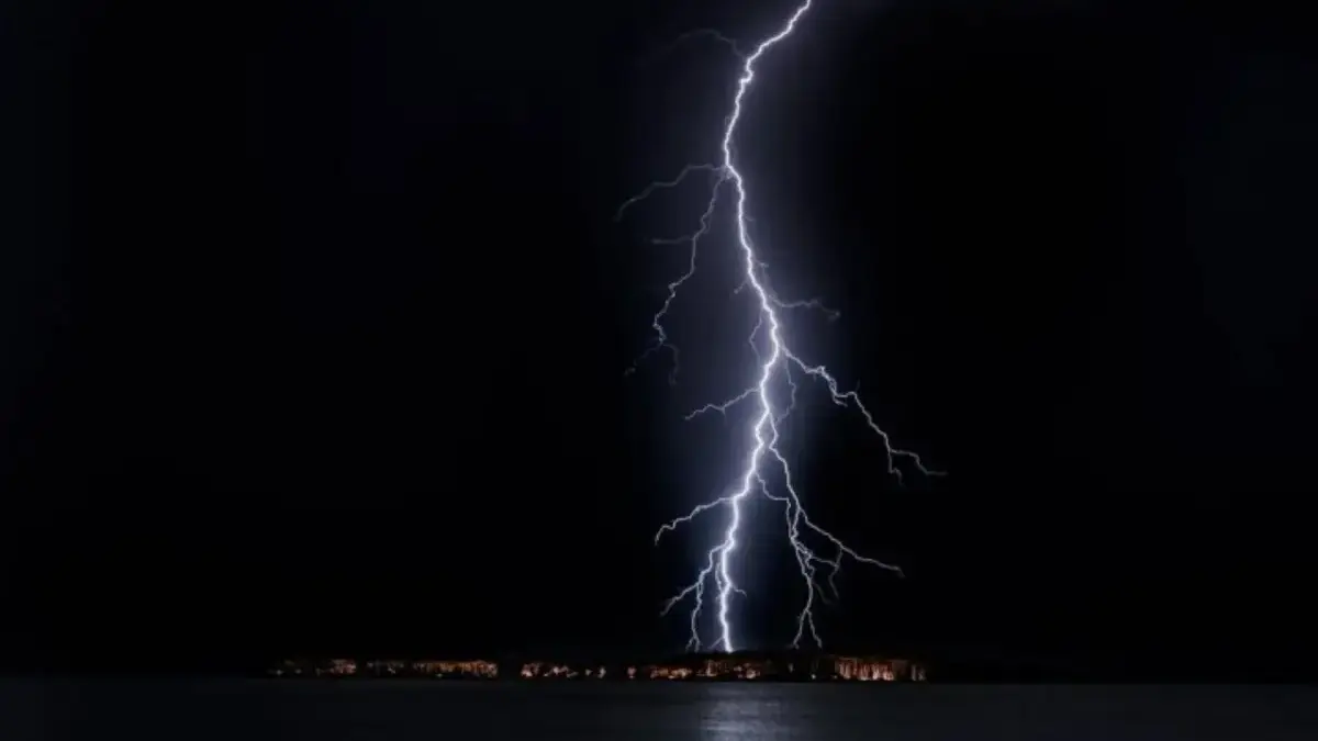 Ramalan Shio Besok 5 Desember 2025