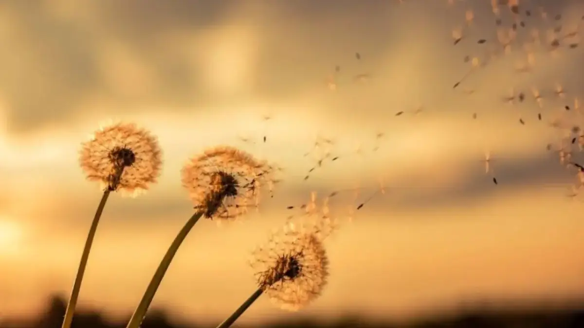 Ramalan Zodiak Jumat 5 Desember 2025