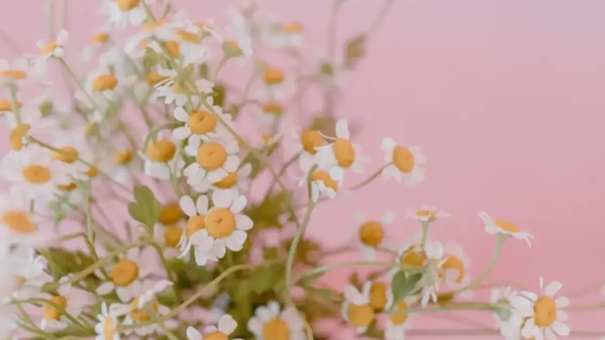 Rezeki Tak Terduga Muncul! Ramalan Zodiak Kamis 11 Desember 2025 untuk Leo, Virgo, Libra, dan Scorpio Ramalan Zodiak Kamis 11 Desember 2025