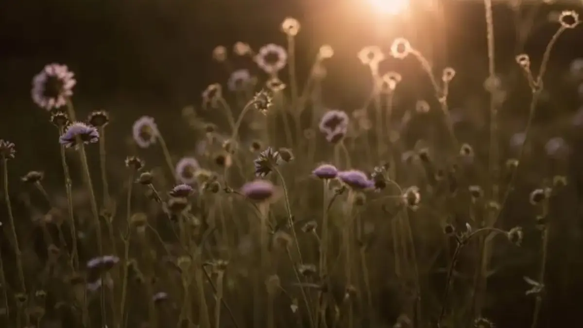 Ramalan Zodiak Besok 5 Desember 2025