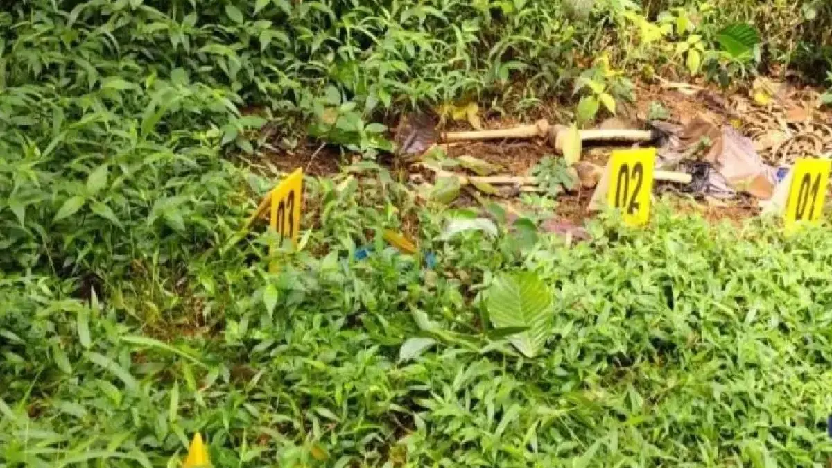 Geger Penemuan Kerangka Manusia di Kebun Kopi Reban Batang, Ternyata Warga yang Hilang Sebulan Lalu