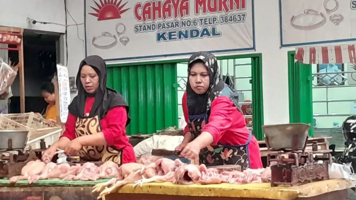 Harga Ayam di Kendal Melonjak 2 Bulan Terakhir, Stok Diduga Tersedot Program Makan Bergizi Gratis