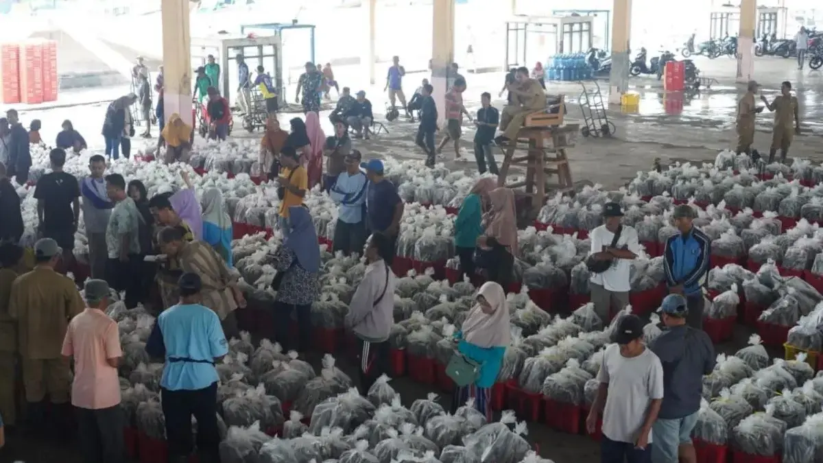 Produksi Ikan TPI Pekalongan Tembus 1.200 Ton, Pasokan Bahan Baku Pabrik Pengalengan Melimpah Produksi Ikan TPI Pekalongan Tembus 1.200 Ton, Pasokan Bahan Baku Pabrik Pengalengan Melimpah