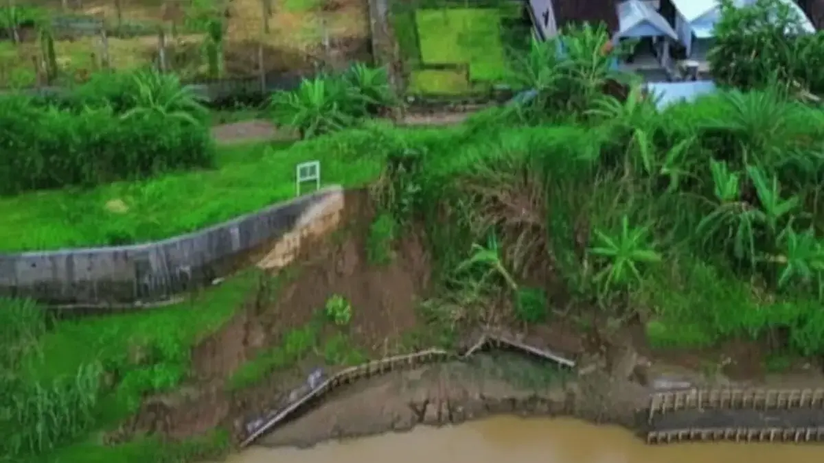 Tanggul Kali Bodri Kendal Kritis dan Longsor, Warga Patebon Trauma Ancaman Banjir Besar Dua Tahun Lalu Tanggul Kali Bodri Kendal Kritis dan Longsor, Warga Patebon Trauma Ancaman Banjir Besar Dua Tahun Lalu