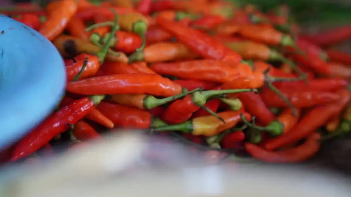 Awal 2026, Harga Bahan Pokok di Kota Pekalongan Fluktuatif, Cabai dan Bawang Turun Tajam Harga Bahan Pokok di Kota Pekalongan Fluktuatif