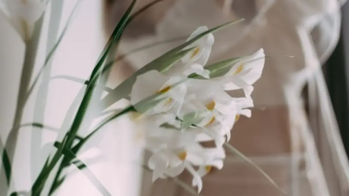 Mulai Babak Baru! Ini Dia Ramalan Shio 6 Januari 2026 untuk Tikus, Kerbau, Macan, dan Kelinci Ramalan Shio 6 Januari 2026