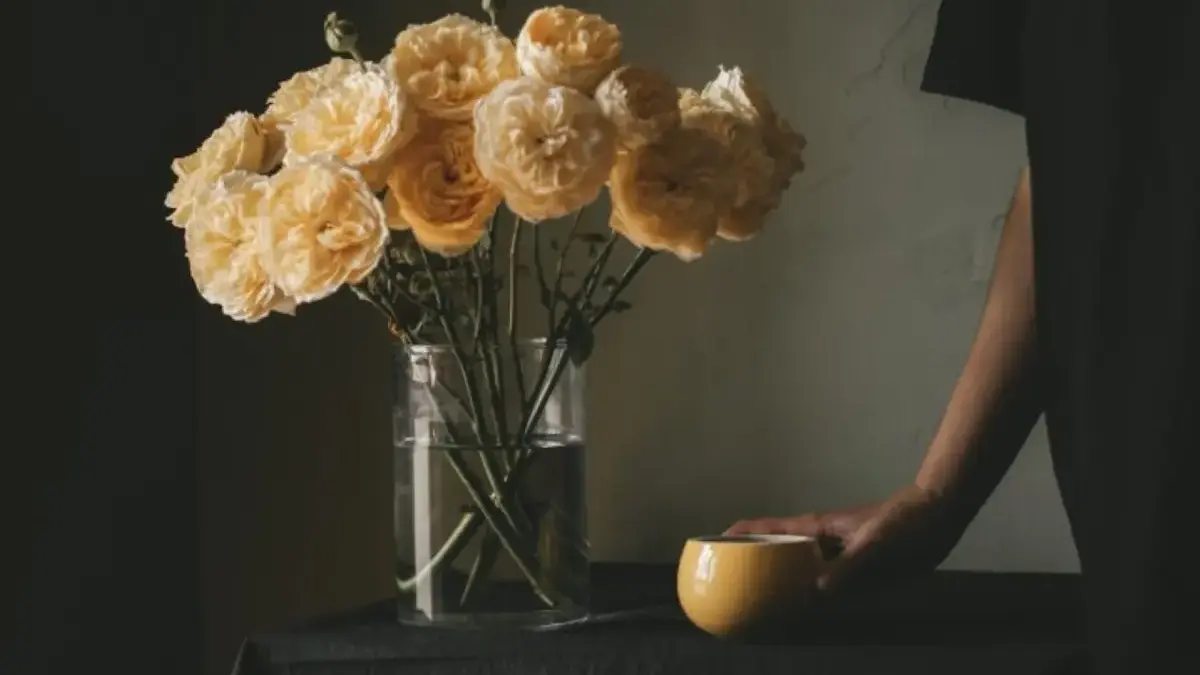 Nikmati Hasil Kerja Keras! Ramalan Shio Selasa 6 Januari 2026 untuk Monyet, Ayam, Anjing, dan Babi ramalan Shio Selasa 6 Januari 2026