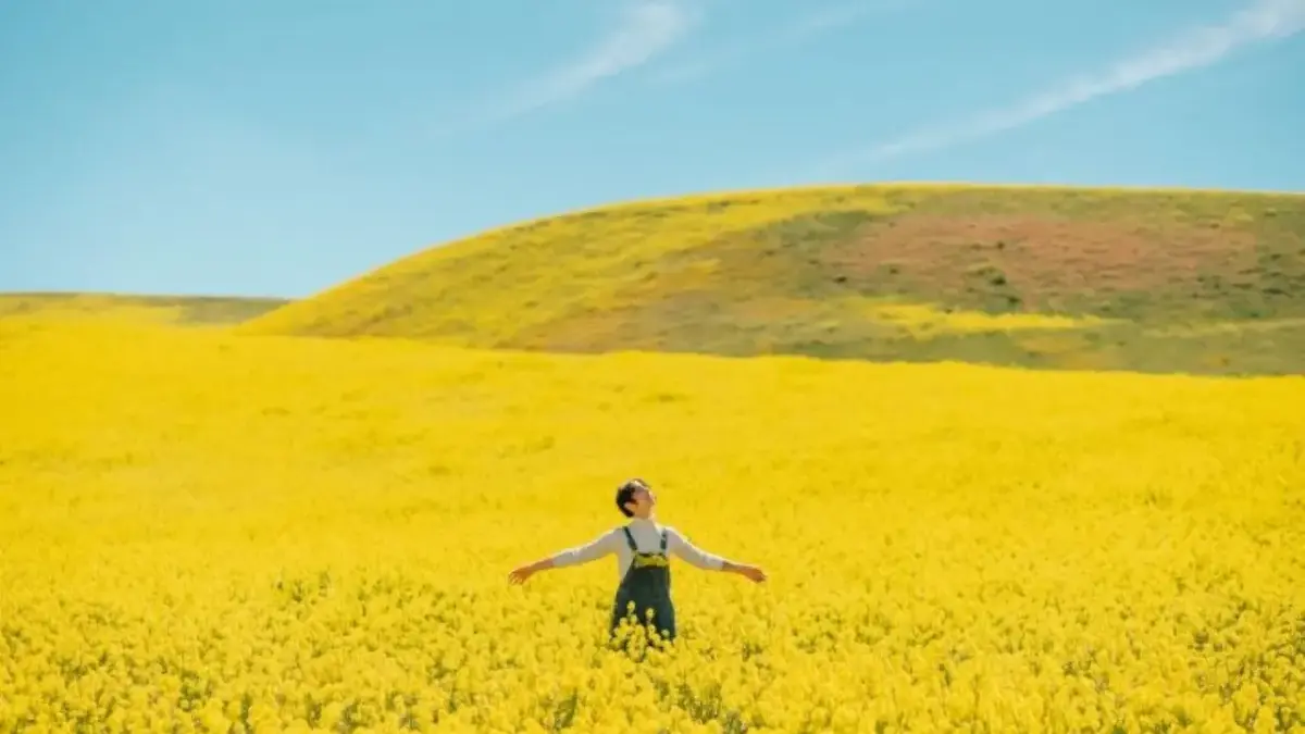 Jangan Mudah Terpancing! Ramalan Zodiak Besok 4 Januari 2026 untuk Aries, Taurus, Gemini, dan Cancer Ramalan Zodiak Besok 4 Januari 2026