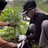 Cegah Longsor, Bupati Kendal dan GP Ansor Tanam 2.000 Pohon di Lereng Gunung Prau: Rawat Harapan