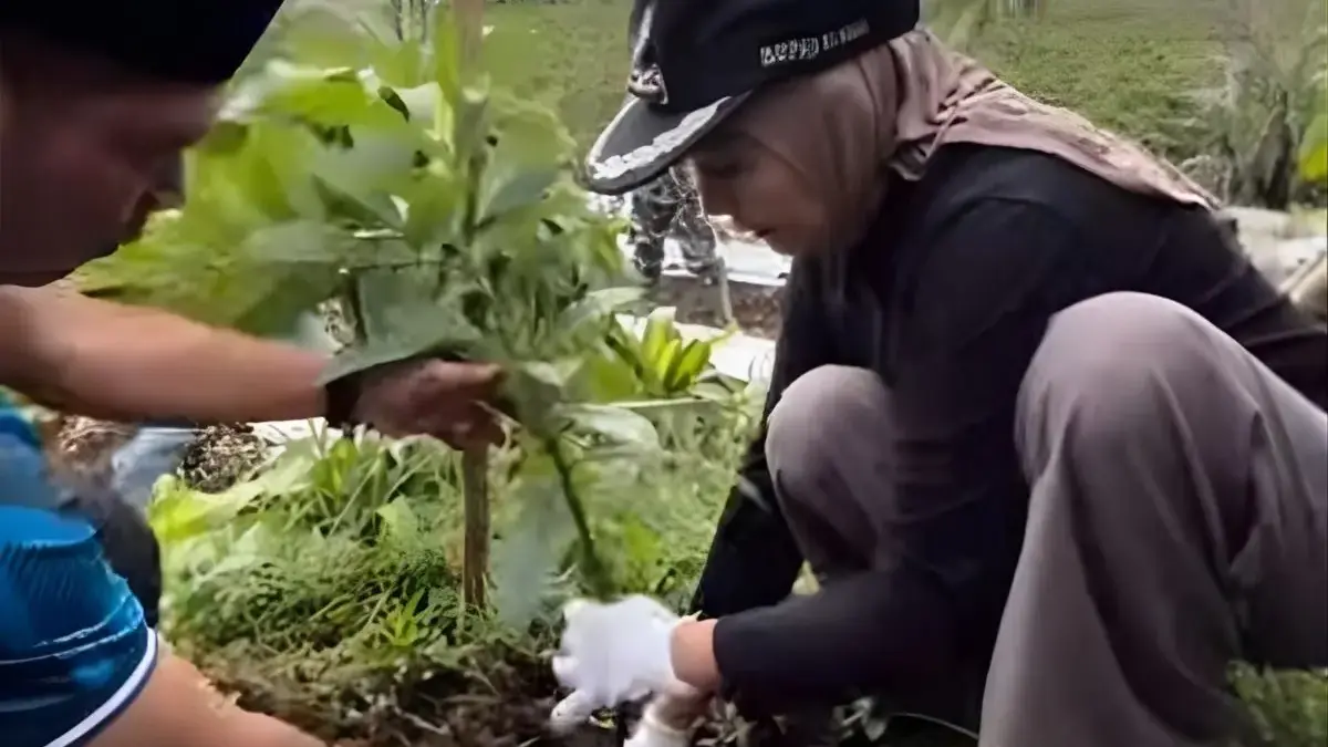 Cegah Longsor, Bupati Kendal dan GP Ansor Tanam 2.000 Pohon di Lereng Gunung Prau: Rawat Harapan